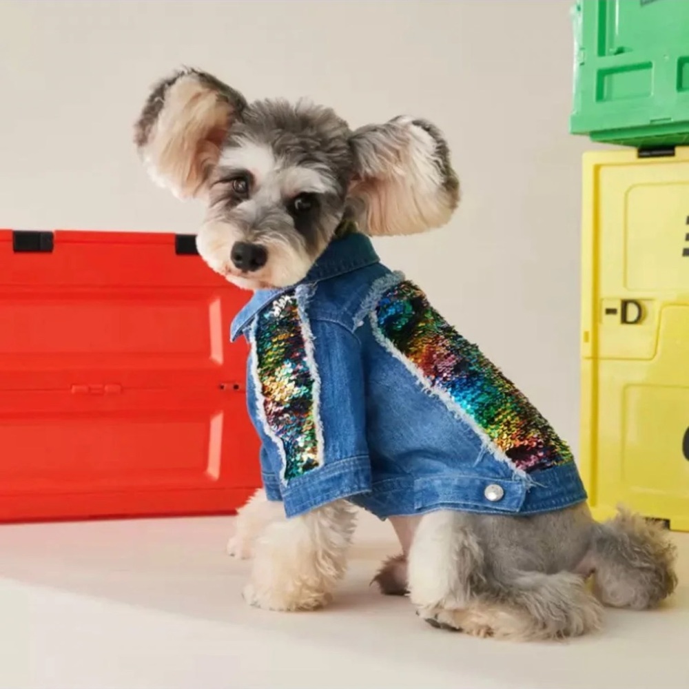 Have your fur baby just as stylish as you with this bling jean Jacket.
